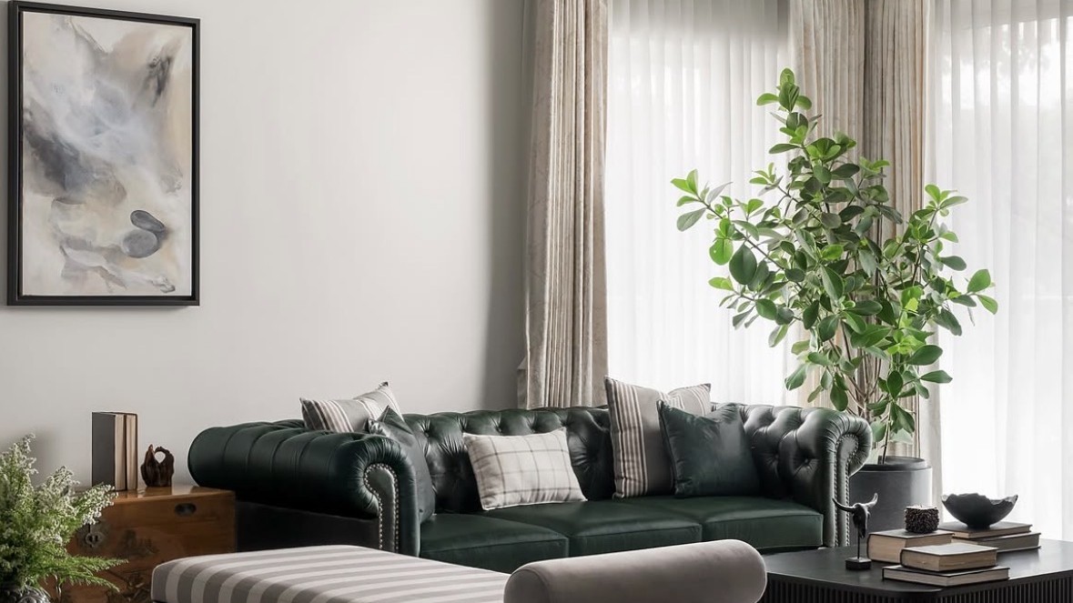 Living room with a deep-green leather Chesterfield, a striped bench, a tall plant against sheer curtains and a black fluted coffee table